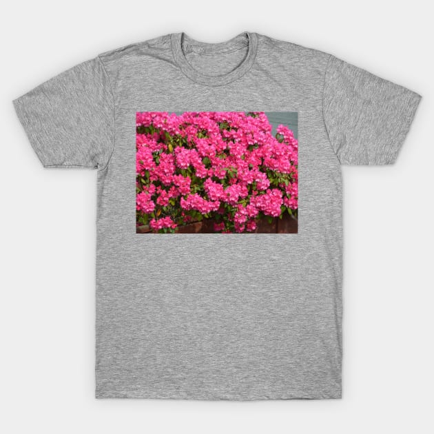 Pink bunches T-Shirt by tomg